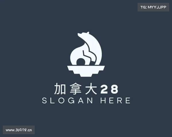 解读加拿大28